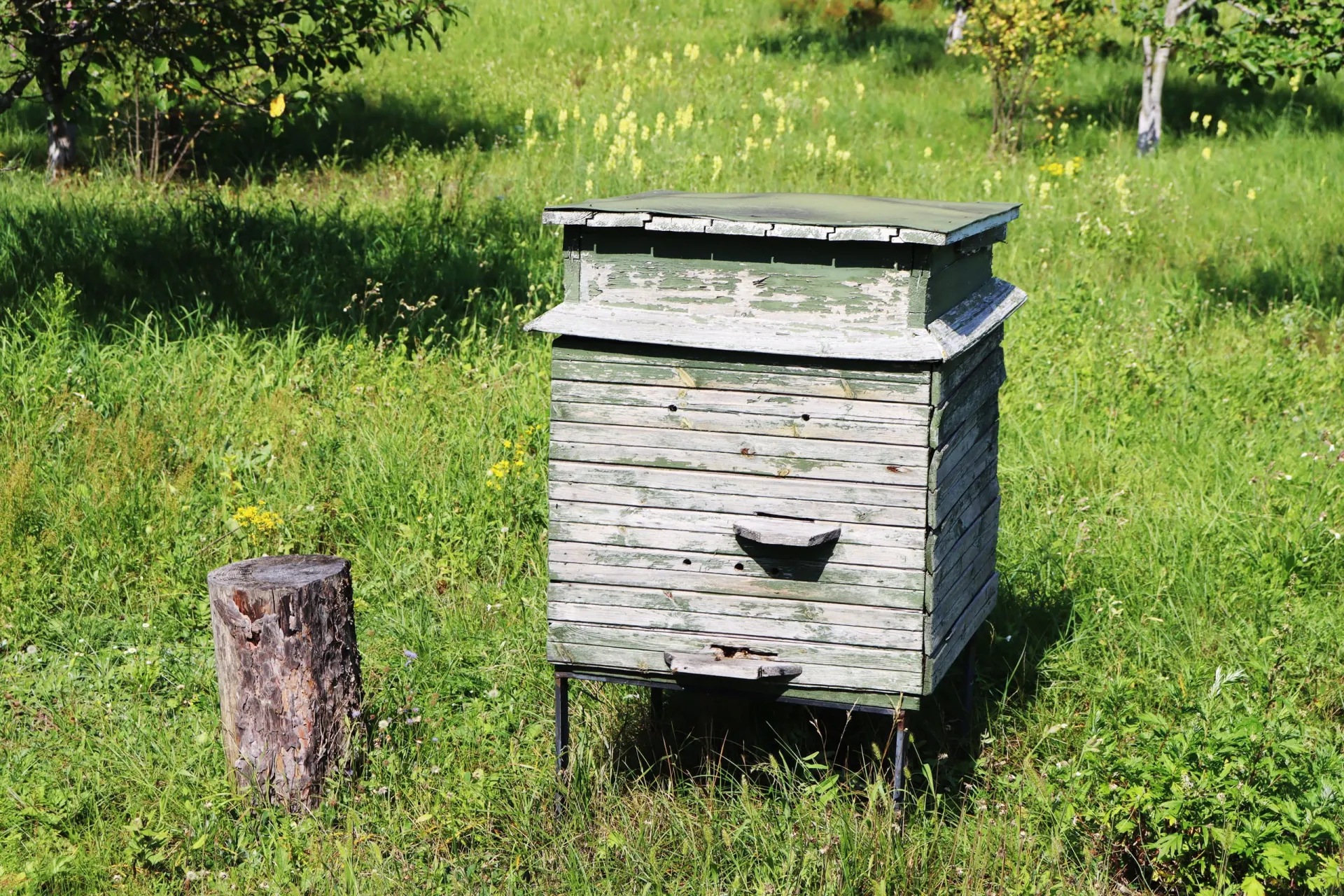 Honey Bee Hive Systems
