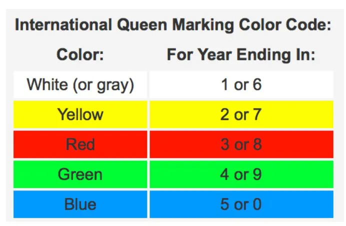 Queen Bee Marking